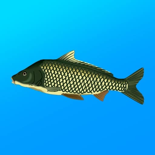 True Fishing. Simulator 1.19.2.923
