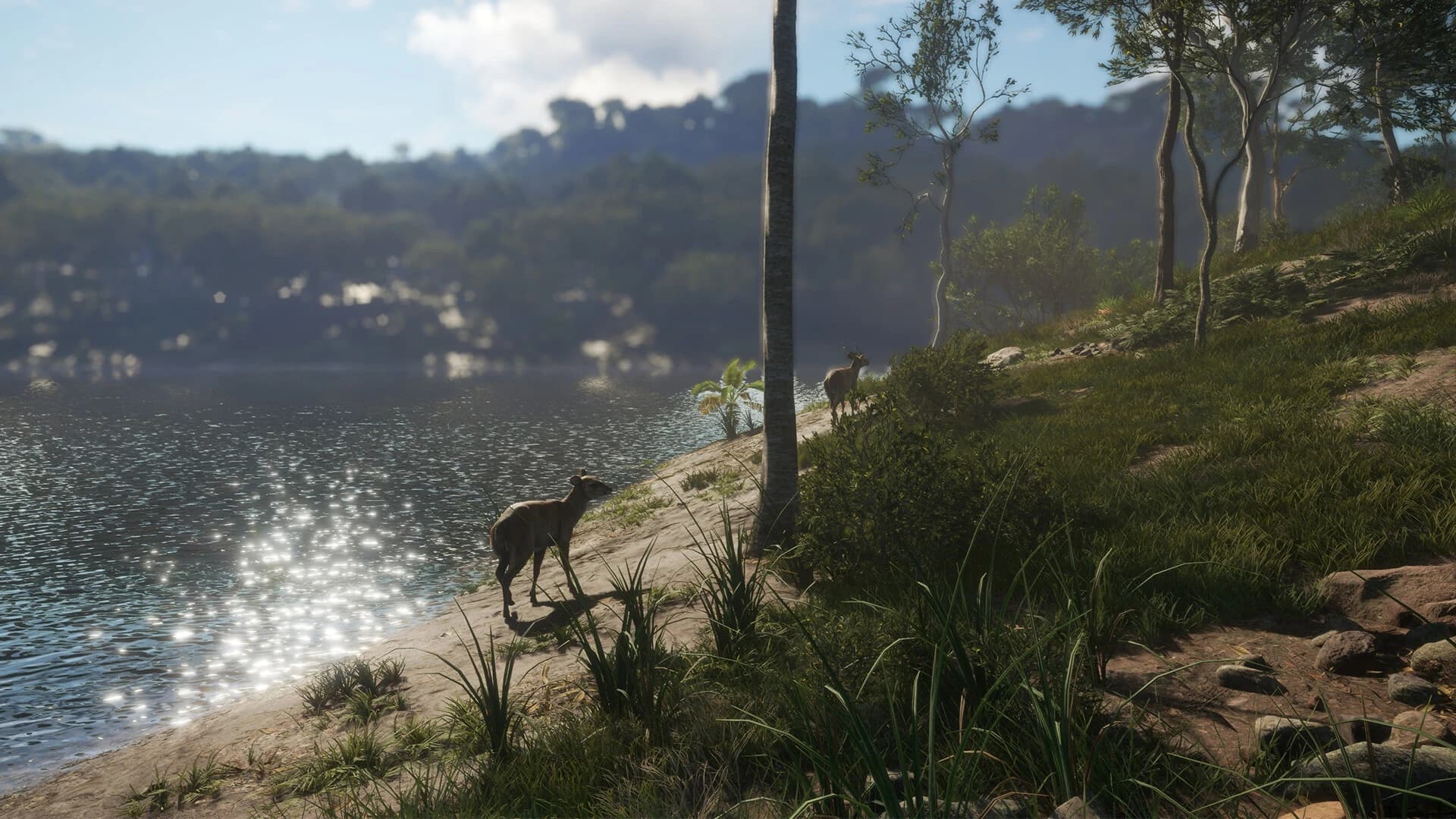 https://media.imgcdn.org/repo/2023/06/thehunter-call-of-the-wild-emerald-coast-australia/6493f05231a52-thehunter-call-of-the-wild-emerald-coast-australia-screenshot7.webp