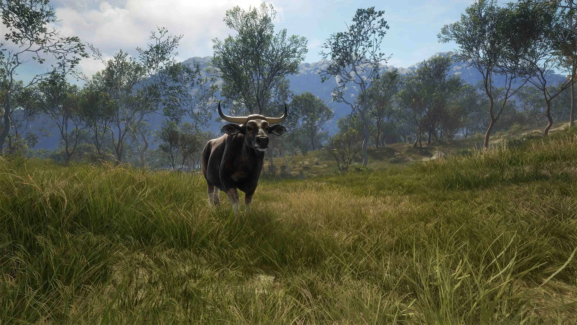 https://media.imgcdn.org/repo/2023/06/thehunter-call-of-the-wild-emerald-coast-australia/6493f0530ed37-thehunter-call-of-the-wild-emerald-coast-australia-screenshot8.webp