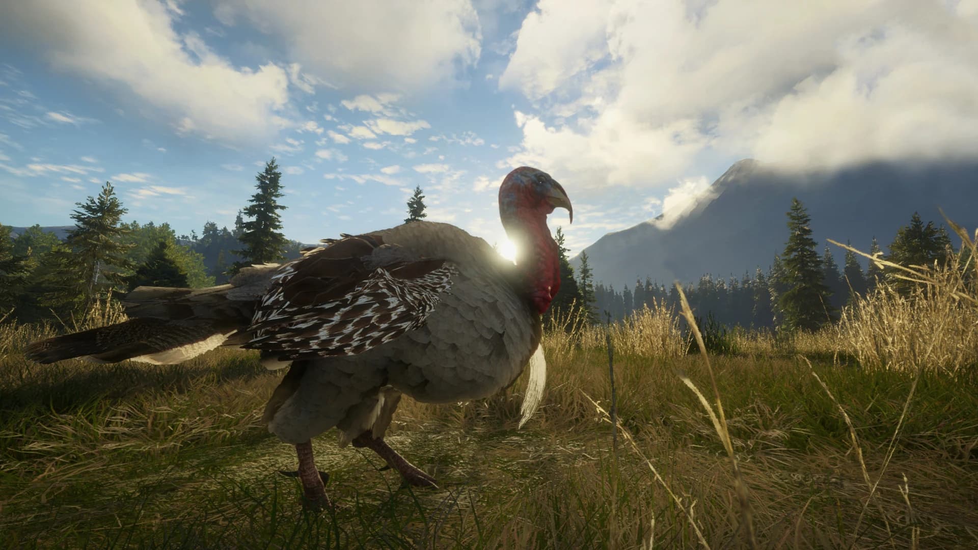 https://media.imgcdn.org/repo/2023/06/thehunter-call-of-the-wild-silver-ridge-peaks/64991ddfd35ba-thehunter-call-of-the-wild-silver-ridge-peaks-screenshot4.webp