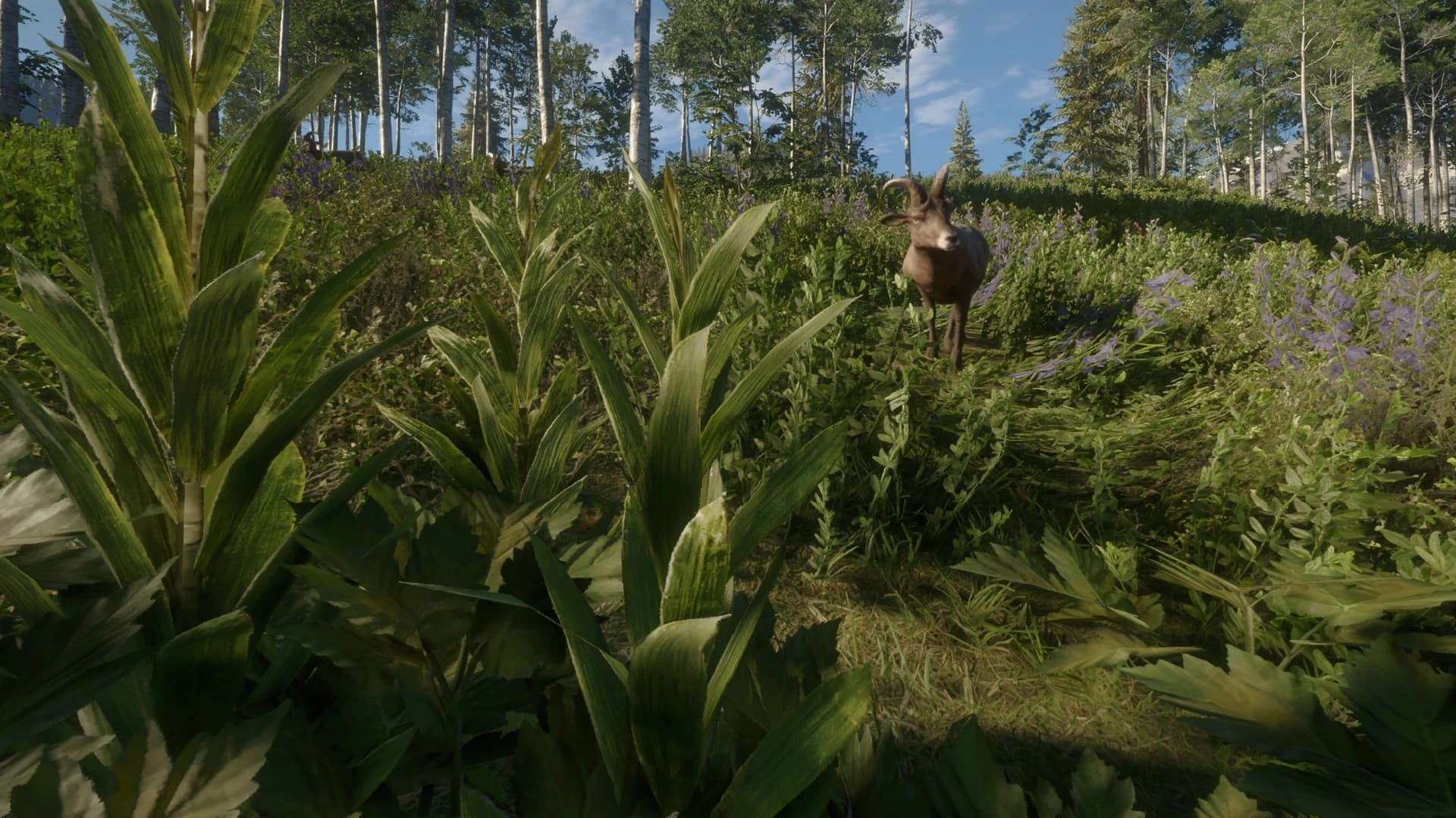 https://media.imgcdn.org/repo/2023/06/thehunter-call-of-the-wild-silver-ridge-peaks/64991e549c886-thehunter-call-of-the-wild-silver-ridge-peaks-screenshot8.webp