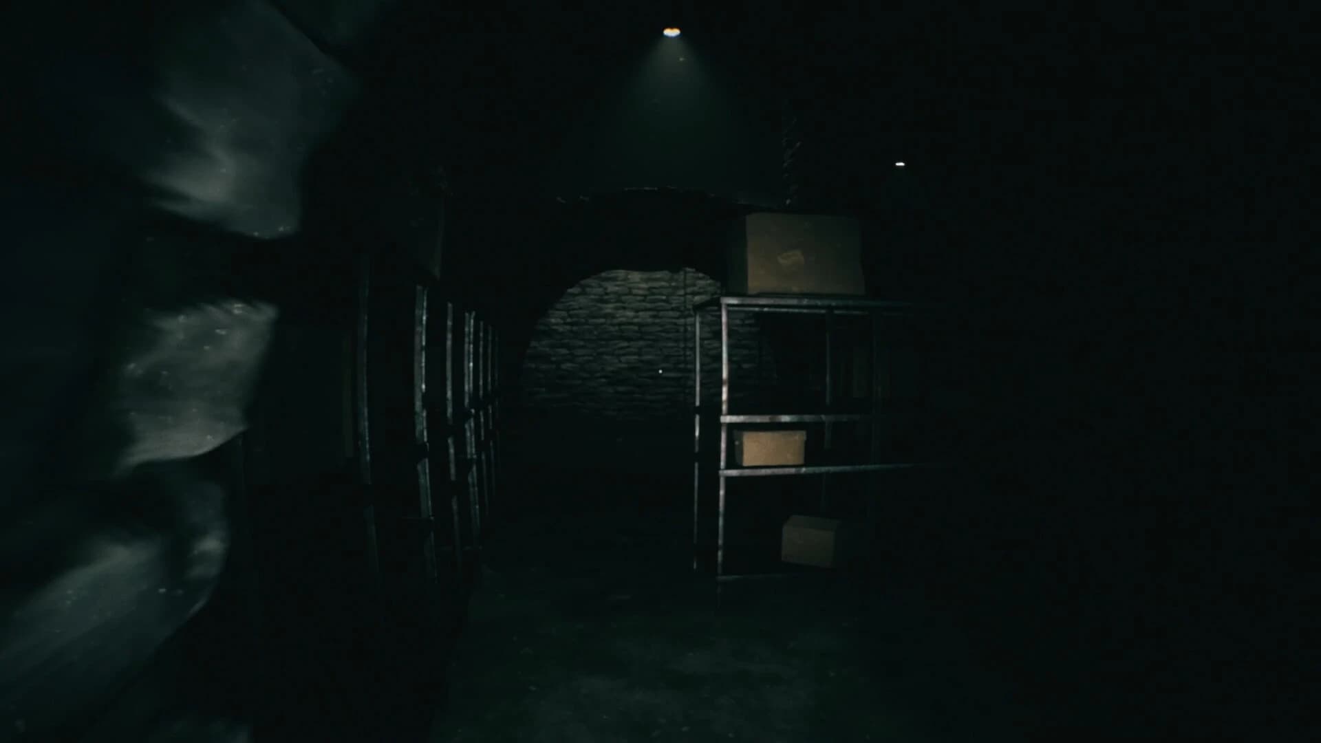https://media.imgcdn.org/repo/2024/02/forsisted-the-sacred-souls/65c1e2172b51a-forsisted-the-sacred-souls-screenshot1.webp