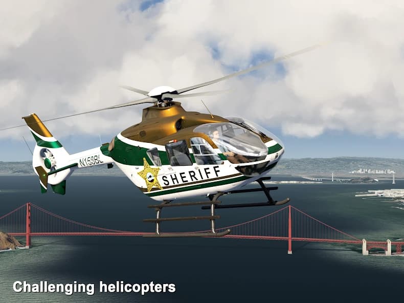 https://media.imgcdn.org/repo/2024/05/aerofly-fs-2020/6644548e645cc-aerofly-fs-2020-screenshot12.webp