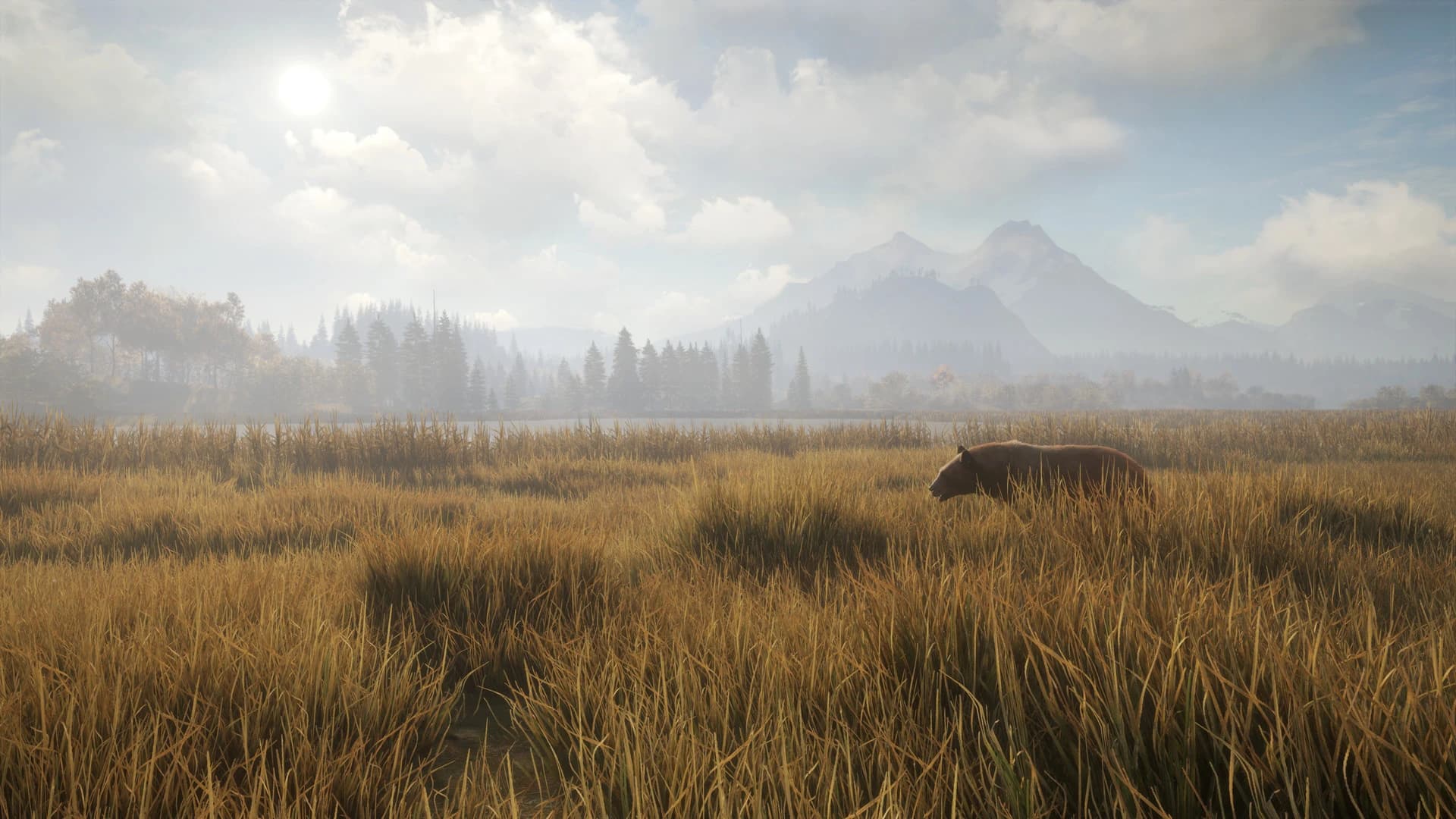 https://media.imgcdn.org/repo/2024/06/thehunter-call-of-the-wild/6678f039a34e5-thehunter-call-of-the-wild-screenshot1.webp