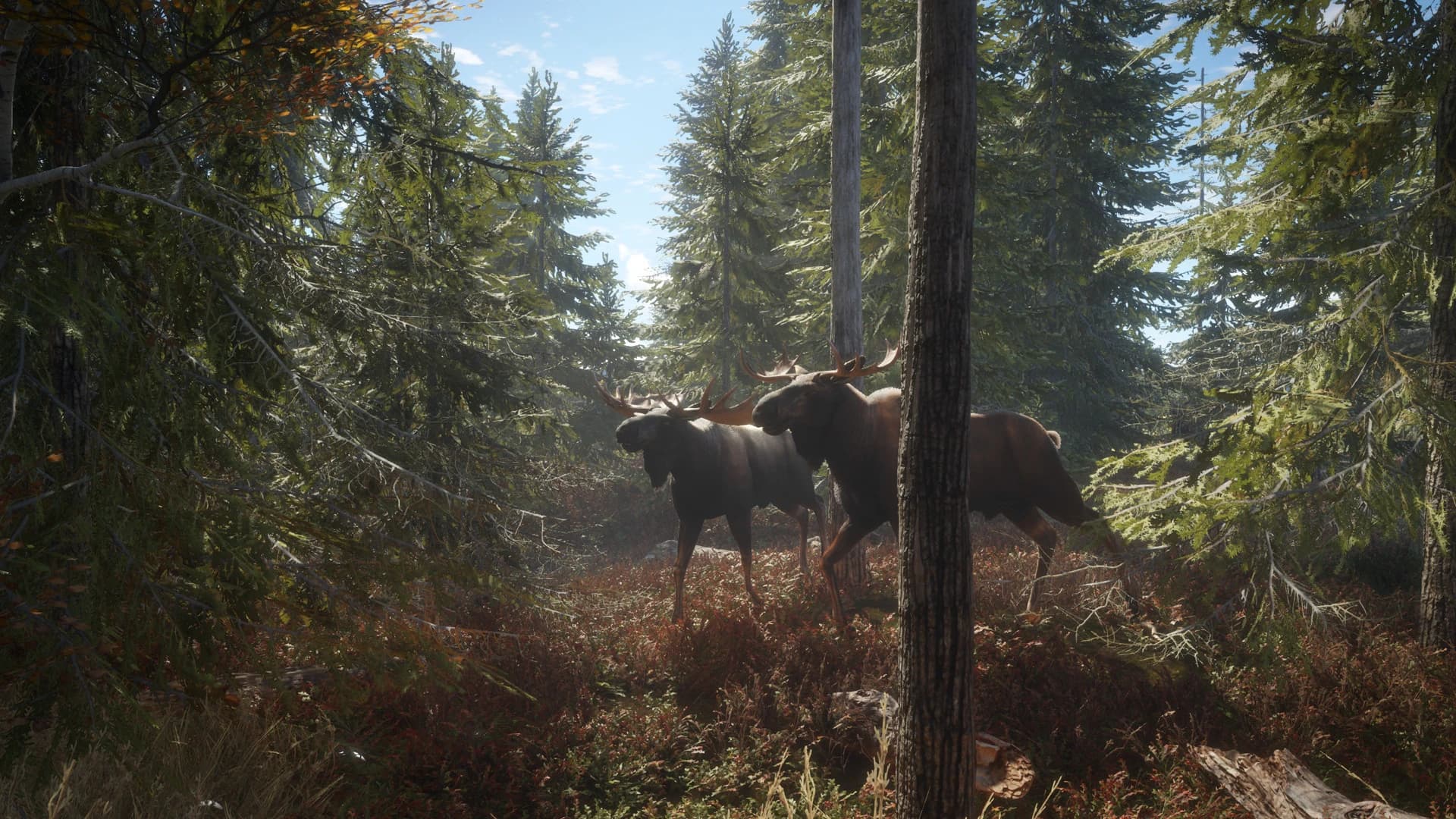 https://media.imgcdn.org/repo/2024/06/thehunter-call-of-the-wild/6678f0424f824-thehunter-call-of-the-wild-screenshot2.webp