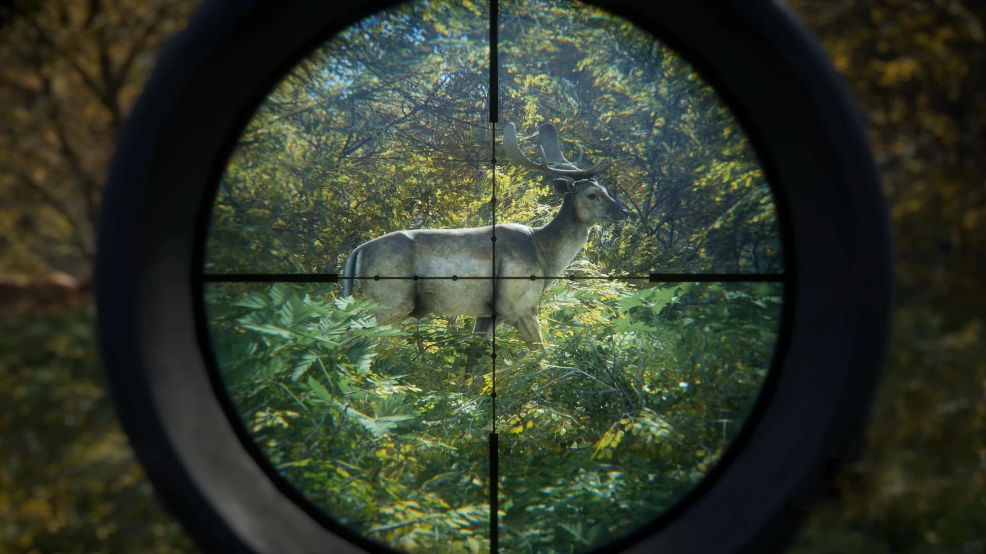 https://media.imgcdn.org/repo/2024/06/thehunter-call-of-the-wild/6678f051248b7-thehunter-call-of-the-wild-screenshot3.webp