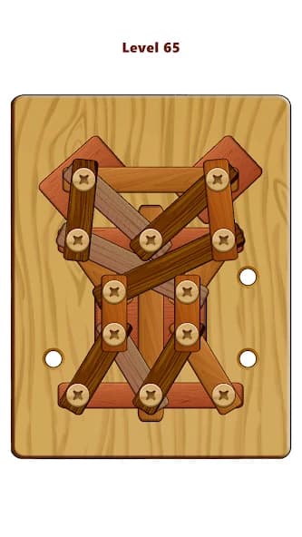 https://media.imgcdn.org/repo/2024/06/wood-nuts-and-bolts-puzzle/666a845a2220a-wood-nuts-and-bolts--screenshot16.webp