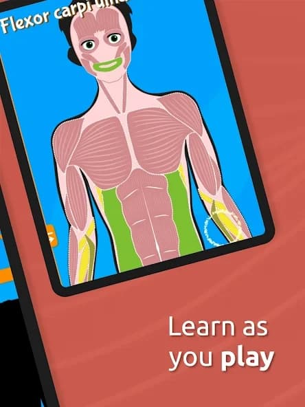 https://media.imgcdn.org/repo/2024/09/human-anatomy-body-parts/66e8214ec1463-human-anatomy-body-parts-screenshot9.webp