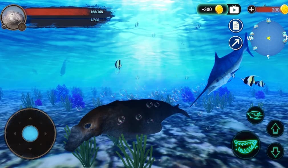 https://media.imgcdn.org/repo/2024/10/the-seal-elephant/66fba6a0d5f2b-com-wildlife-sealelephant-screenshot3.webp