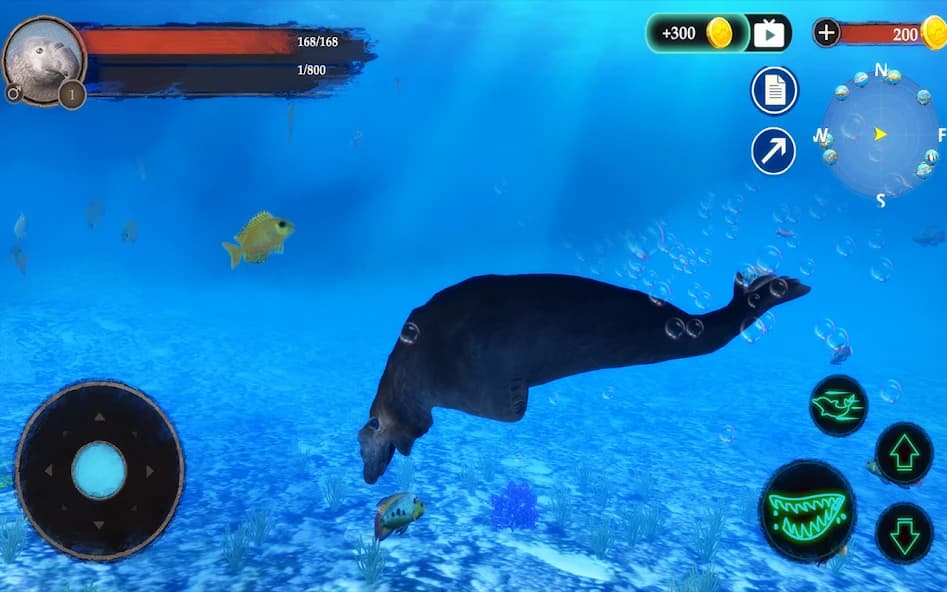 https://media.imgcdn.org/repo/2024/10/the-seal-elephant/66fba6a52626c-com-wildlife-sealelephant-screenshot7.webp