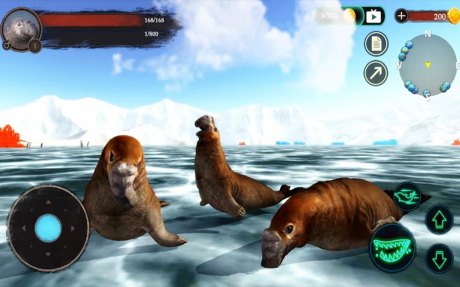 https://media.imgcdn.org/repo/2024/10/the-seal-elephant/66fba6b29c31f-com-wildlife-sealelephant-screenshot21.webp