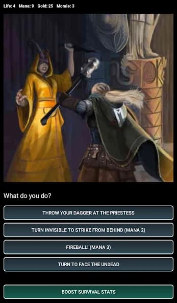 https://media.imgcdn.org/repo/2025/06/dungeons-and-decisions-rpg/68555517efdff-dungeons-and-decisions-rpg-screenshot16.webp
